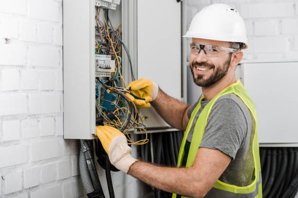 Best Electrical Upgrades for Homes  in Alexandria, MN